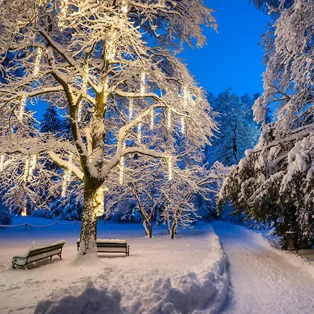 Goldener Adler, Bw Signature Collection 호텔