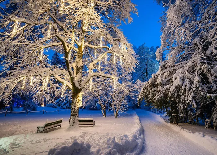 Goldener Adler, Bw Signature Collection 酒店